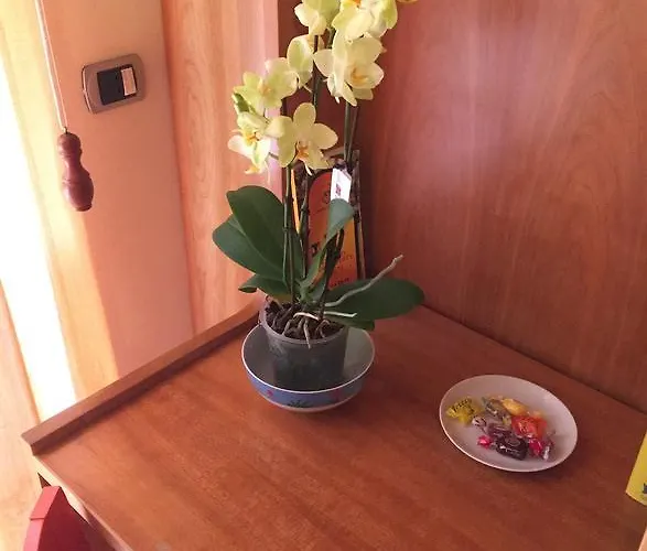 Piccolo Principe Salerno